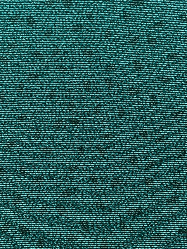 伊勢型　六谷梅軒