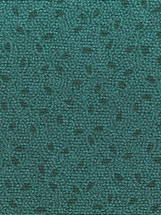 伊勢型　六谷梅軒