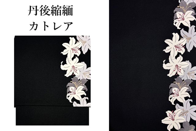 夢染里カトレア