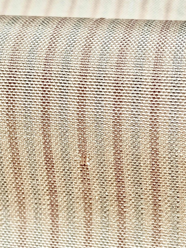 久保原由佳理　着尺