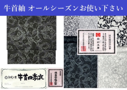 牛首紬 夏単衣